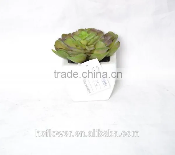 Indoor Derocation Artificial Succulent Plants