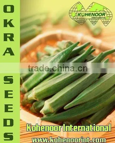 OKRA SEEDS (OP & HYBRID)