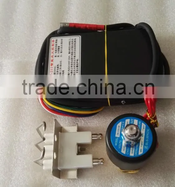 High Quality Factory Wholesale Black Module 220VAC Electric Long Gas Bbq Lighter With Burnout Protect photo-3