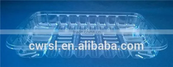 Hot Selling Blister Packaging/blister Plastic Box