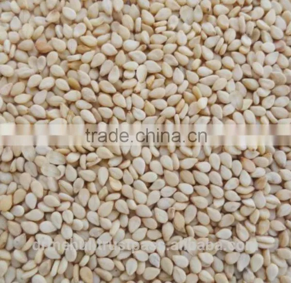 Hulled Sesame Seed photo-6