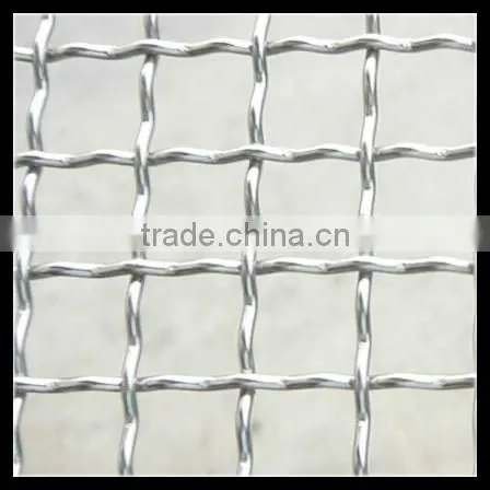Stainless Steel Crimped Wire Mesh/galvanized Crimped Wire Mesh