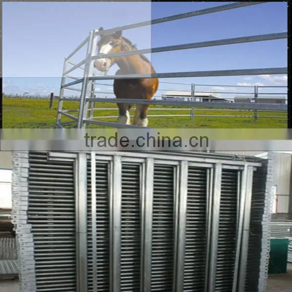 Galvanized Livestock Equipment Cattle Panels