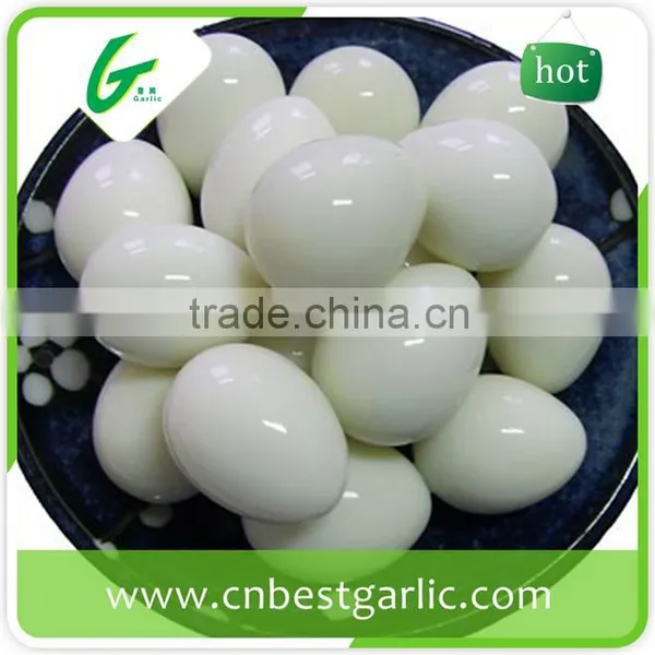 Hatching Fresh Quail Eggs photo-2