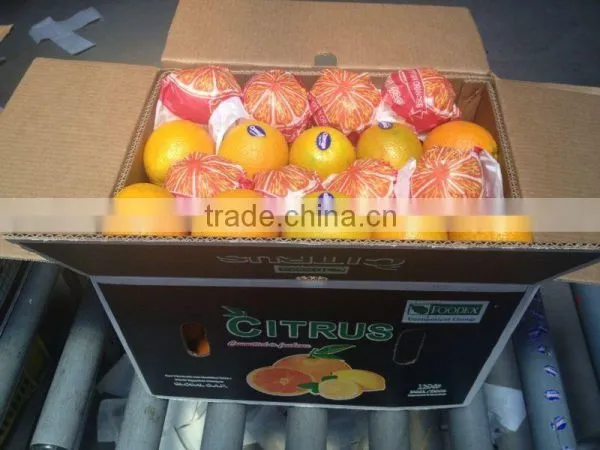 Navel Oranges (Seedless Orange)