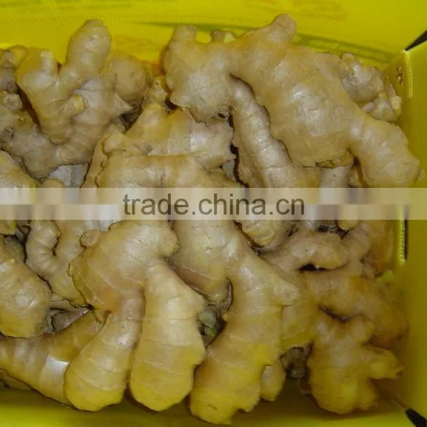 Chinese Organic Air Dried Ginger photo-6