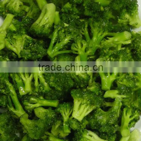 New 2015 Dried Broccoli Best Selling Products in Philippines photo-3