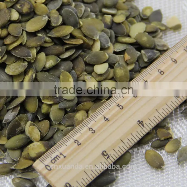 Sell Shine Skin Pumpkin Seeds Kernels and GWS Pumpkin Seeds Kernels and GWS Pumpkin Seeds photo-3