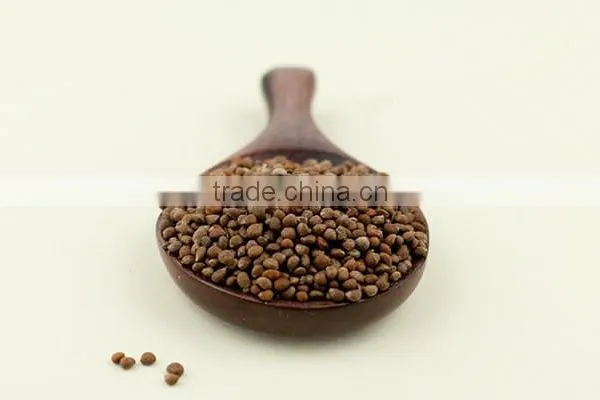 GMP Certified Organic Perilla Seed Oil Top Quality photo-4