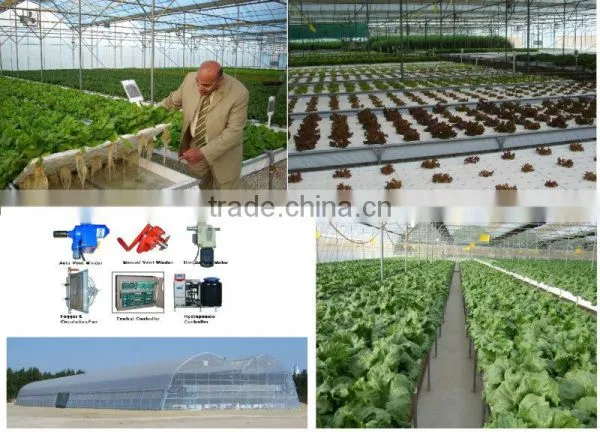 Hydroponic Systems for Greenhouses photo-3