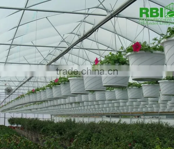 Agricultural Greenhouse Sale photo-2