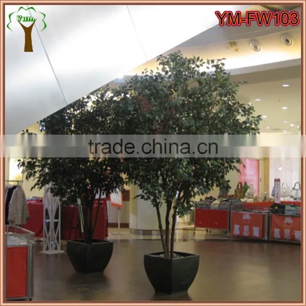 Customized Real Wood Ficus Tree photo-3