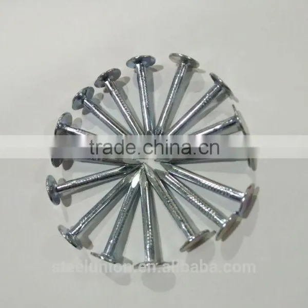 BIG FLAT HEAD CLOUT NAILS photo-4