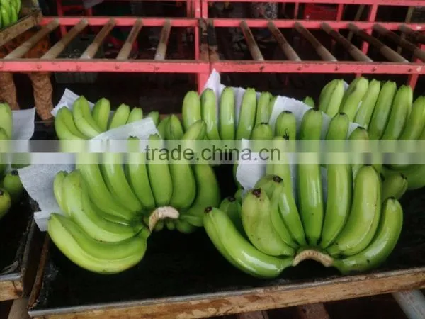 FRESH BANANA photo-5