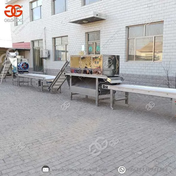 Separating And Peeling Machine Garlic Peeling Machine