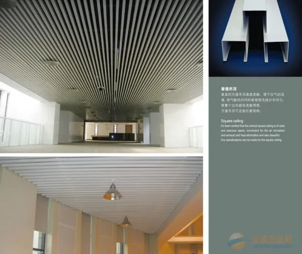 Curtain Wall Aluminum Square Pass Outdoor Manufacturer Supply Custom photo-2