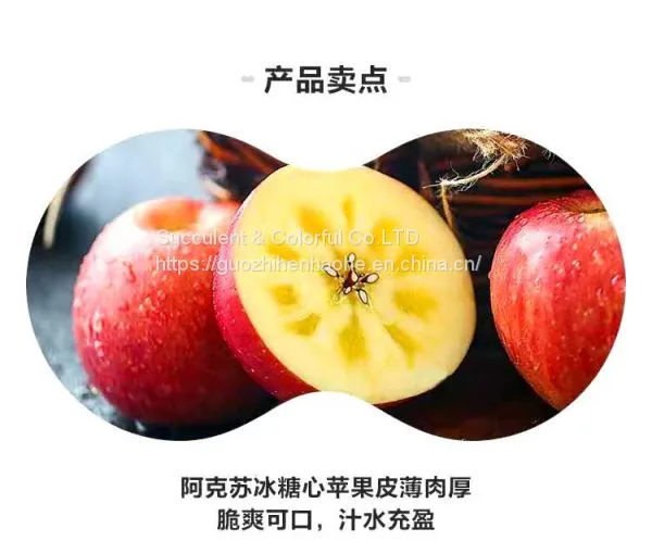 Apple photo-3