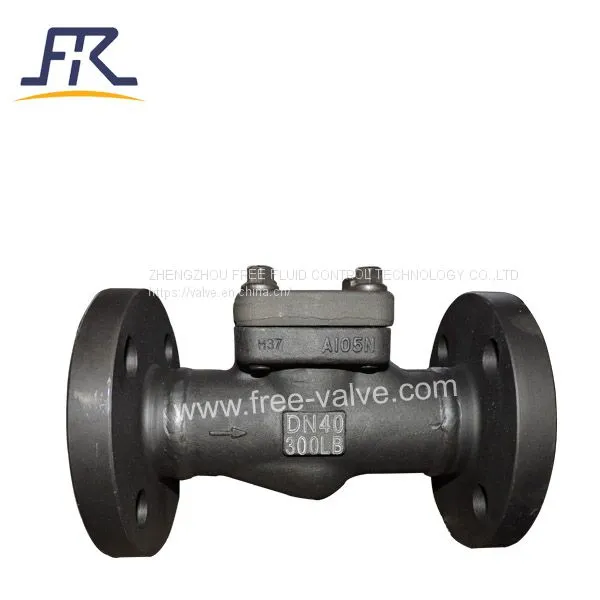 Forged Steel Non Return Check Valve photo-2