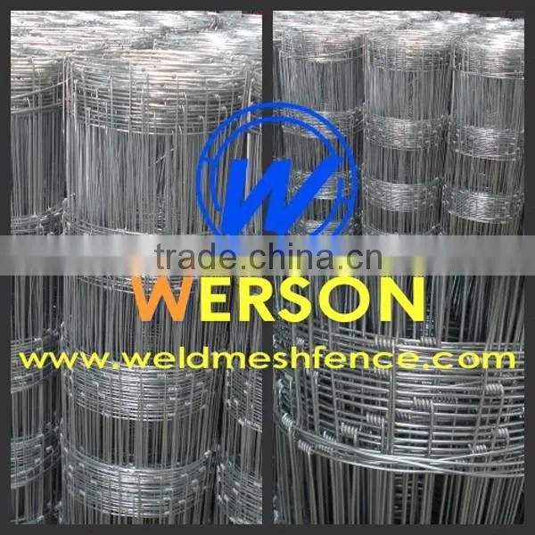 150/12/15 Hot Dipped Galvanized Goat Fence| Werson Fence photo-6