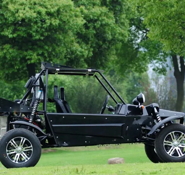 2 Seater Side by Side Sport Vehicle SSV 500cc 4-Stroke Gasoline Engine Automatic 4x4 Differential Lock UTV Quad Buggy photo-4