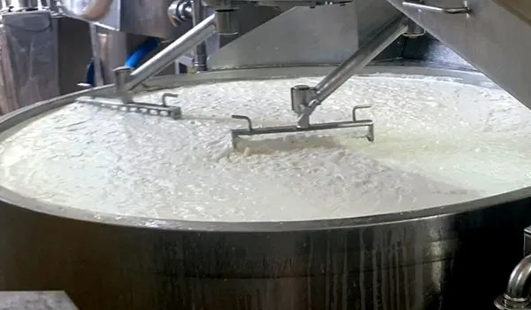 Cream Cheese Soft Cheese Making Machine photo-5
