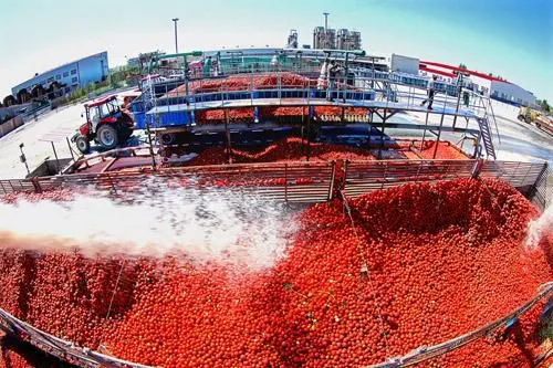 Big Capacity Hot Selling Tomato Sauce Production Line Tomato Sauce Processing Machinery photo-6