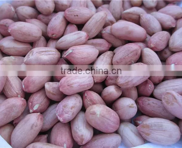 FLOWER 11 PEANUT KERNELS 24/28