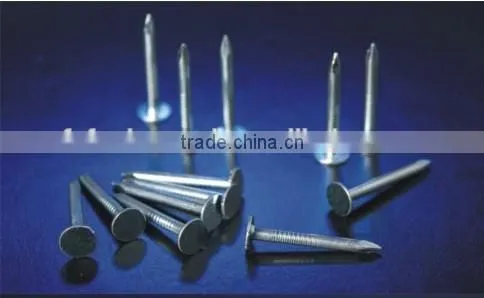 Loose Polished Common Round Iron Wire Nails photo-3