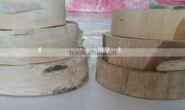 High Quality White Birch Log for Home Decoration