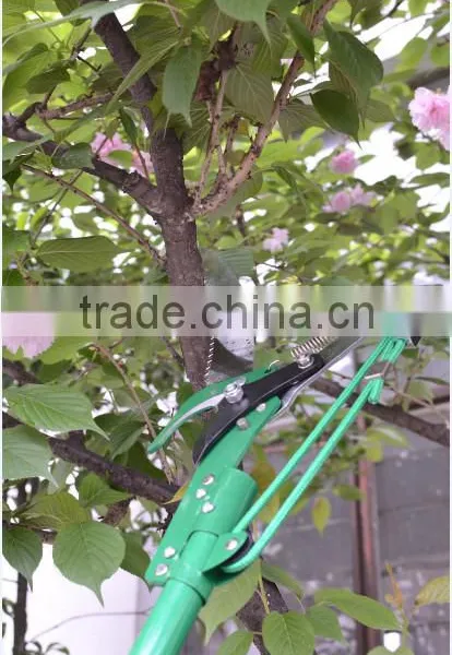 Long Reach Pole Saw photo-2