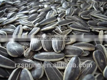 SUNFLOWER SEED ,SUNFLOWER SEED KERNLES