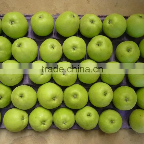 2015 China Green Apple Gala photo-5