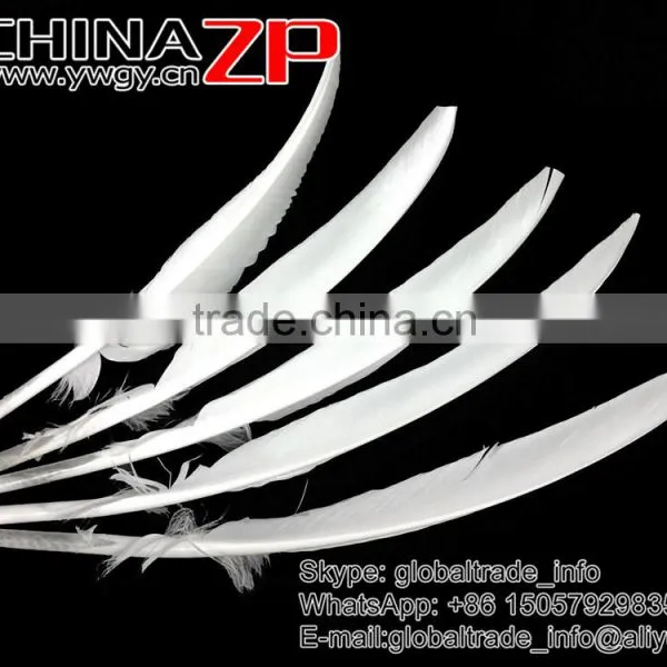 CHINAZP Plumage Supplier Bulk Natural Bleached White Turkey Pointers Quill Large Feathers for Sale photo-2