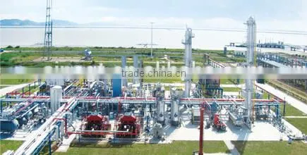 LNG Plants and Natural Gas Treatment photo-2