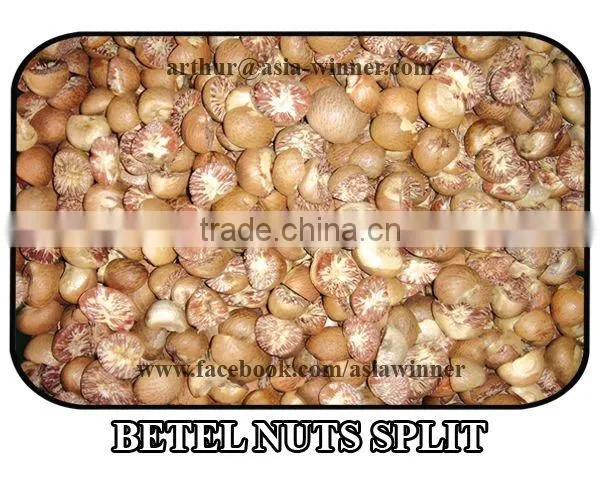 Areca Catechu [Split]