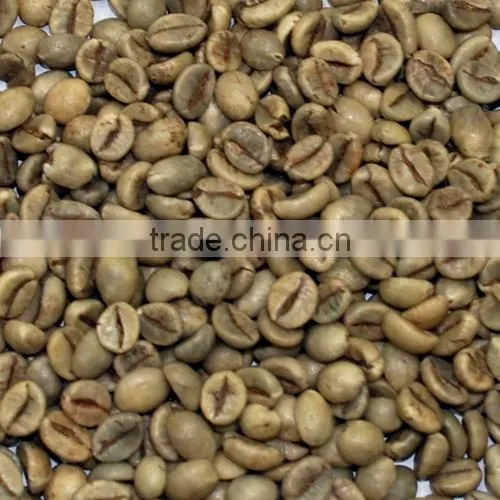UNWASHED ARABICA GREEN COFFEE BEANS GRADE 1 SCREEN 16 photo-6