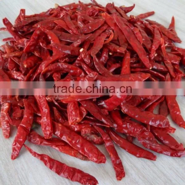 Premium Quality Indian Dry Red Chilli Exporters photo-3
