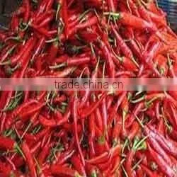 High Quality Dry Chilly S4 photo-3