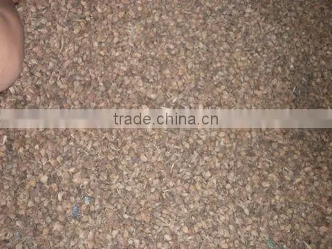 WHOLE SALE BLACK CARDAMOM FOR BANGLADESH MARKET photo-5