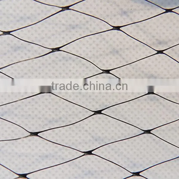 Pp/pe Anti-bird Net for Catching Small Bird photo-2