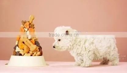 Twin Screw Extruder for Dog Food photo-2