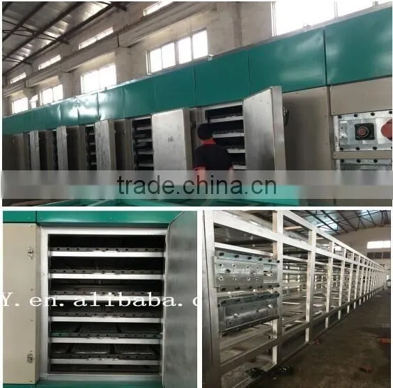 Egg Tray Making Machine Paper Egg Carton Machine Price photo-5