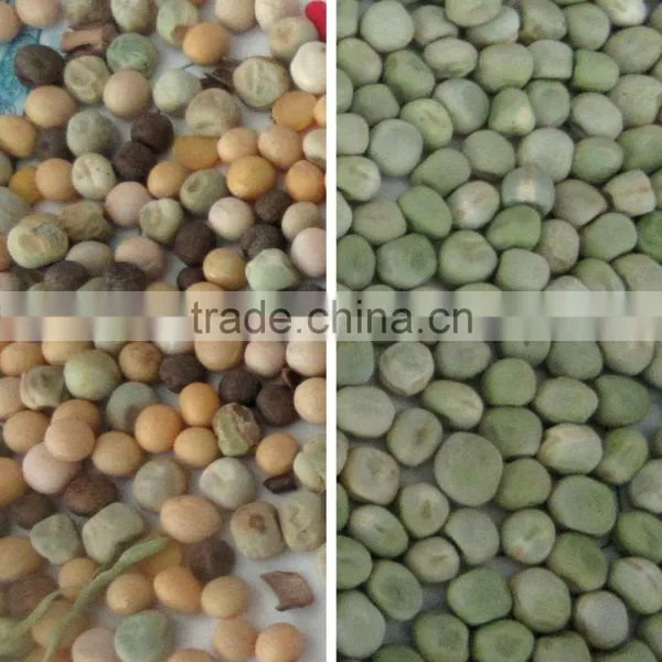 New Software CCD Beans Color Sorting Machine / Raisin Color Sorter / Rice Color Sorter With Factory Price photo-4