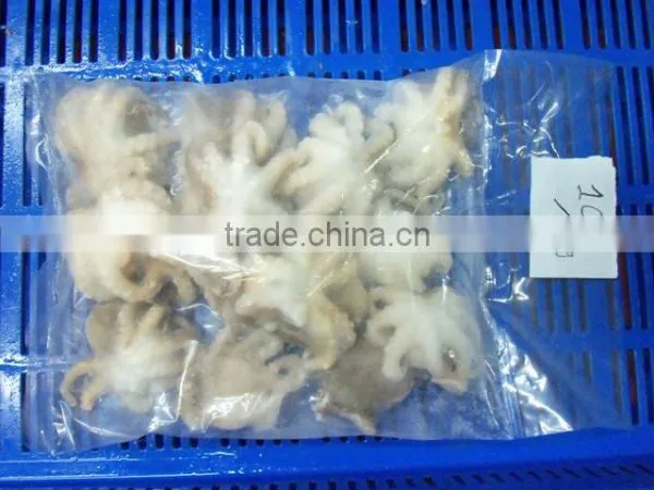IQF Octopus Whole Cleaned photo-3