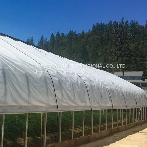 Agricultural Used Anti-uv pe Material Tunnel Greenhouse Film for Sale photo-4