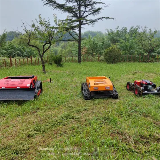 Slope Mower, China Radio Control Mower Price, rc Mower for Sale photo-5
