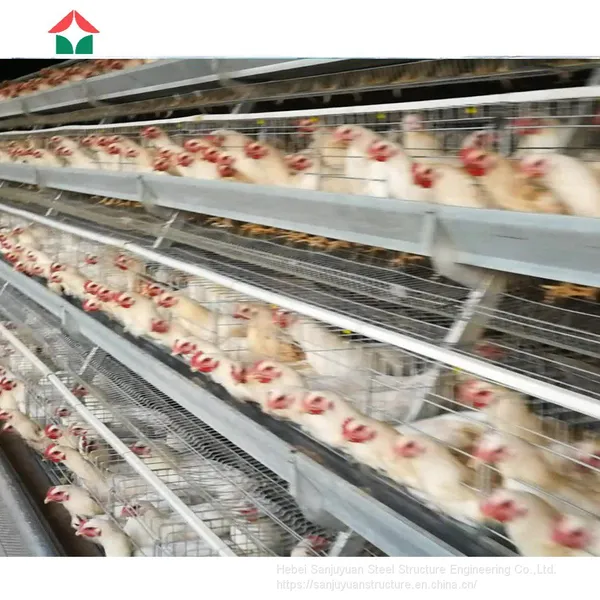 China Made Commercial Chicken House Used photo-3