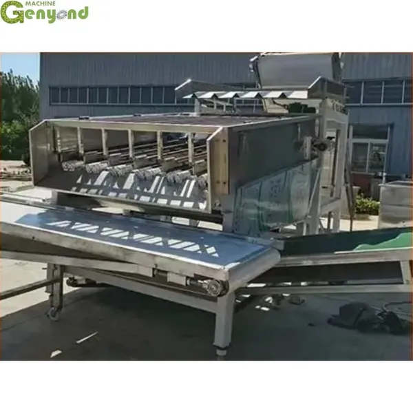 Genyond Factory Automatic Sweet Green Corn Peeling Machine With Good Service photo-6