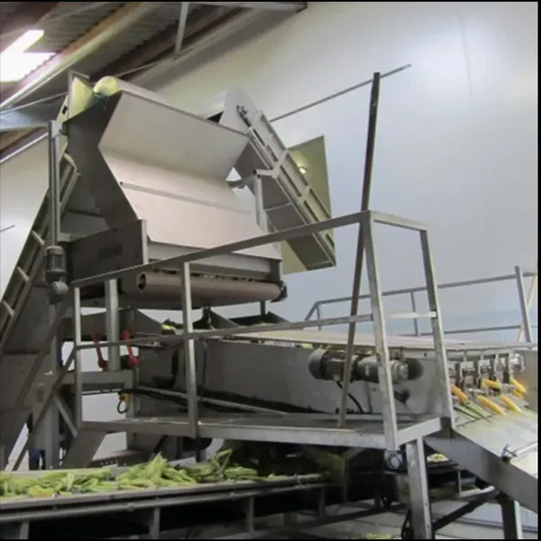 Custom Design Available Sweet Corn Processing Machines Corn Processing Equipment Canned Sweet Corn Processing Machine photo-5