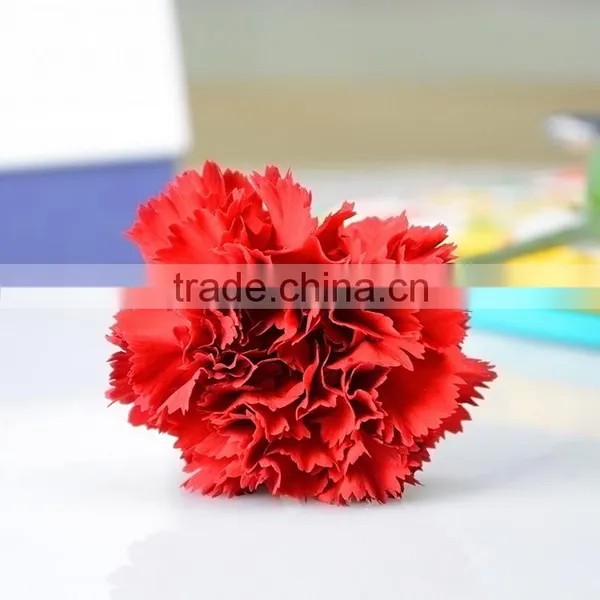 Cheap Mastor Multi-colored Fresh Cut Carnations photo-5